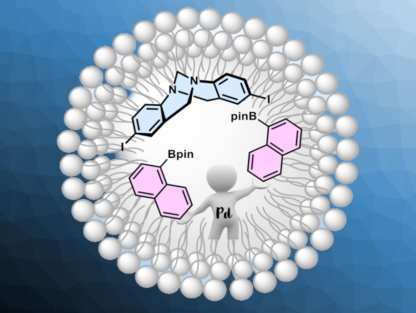 Aqueous Micellar Catalysis for a Suzuki Cross-Coupling