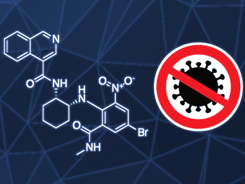 Potent Noncovalent Inhibitors of the Main Protease of SARS-CoV-2