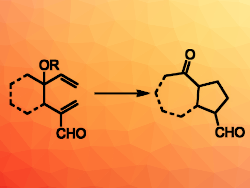 Organocatalytic Tandem Oxy-Cope/Michael Reaction