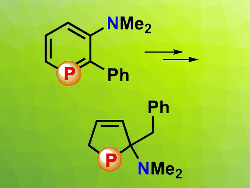 Ring Contraction Turns Phosphabenzenes into Phospholenes