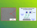 Copolymer Nanoparticles on Stainless Steel Reduce Friction