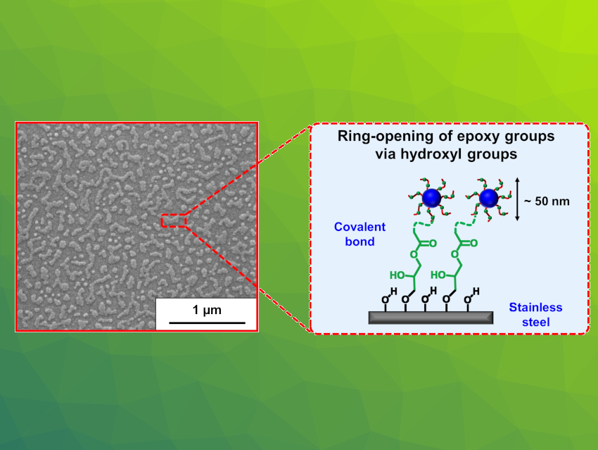 Copolymer Nanoparticles on Stainless Steel Reduce Friction