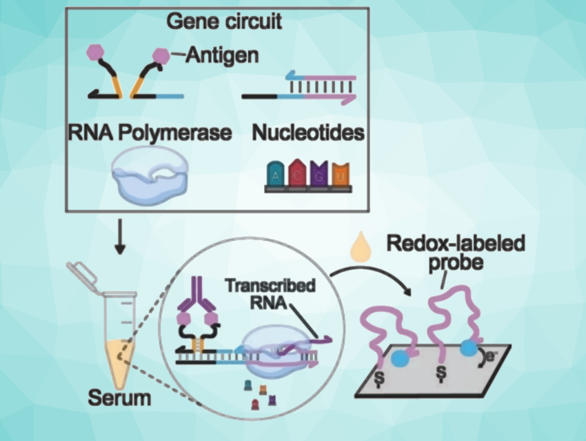 Synthetic Genes for Flu Test