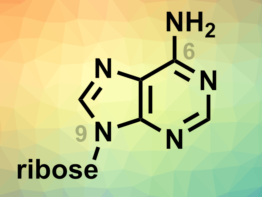 Regioselective Ribosylation of Nucleobases