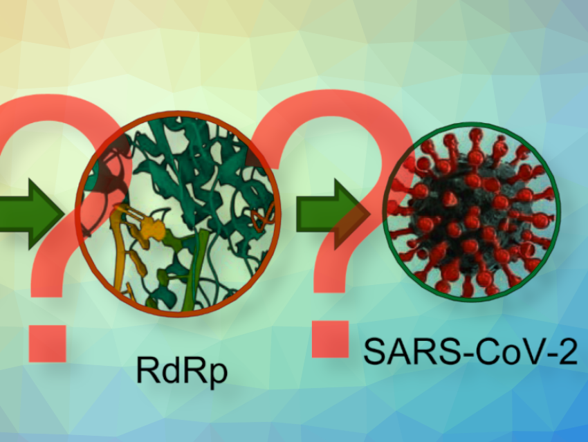 Impact of RNA Modifications on SARS-CoV-2 RNA Synthesis