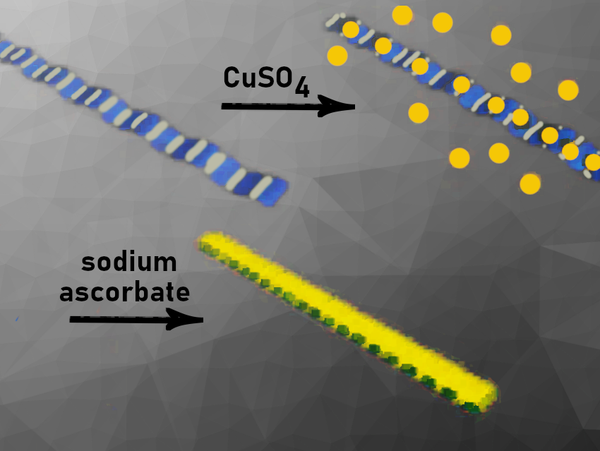 Micron-Scale Amorphous Copper Nanosheets