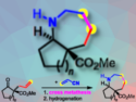 Enantioselective Synthesis of [b]-Annulated Azepane Scaffolds