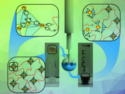 Crosslinked Metal-Organic Cages Respond to Ultrasound