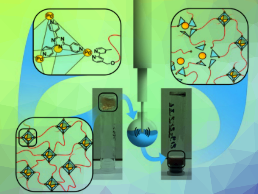 Crosslinked Metal-Organic Cages Respond to Ultrasound