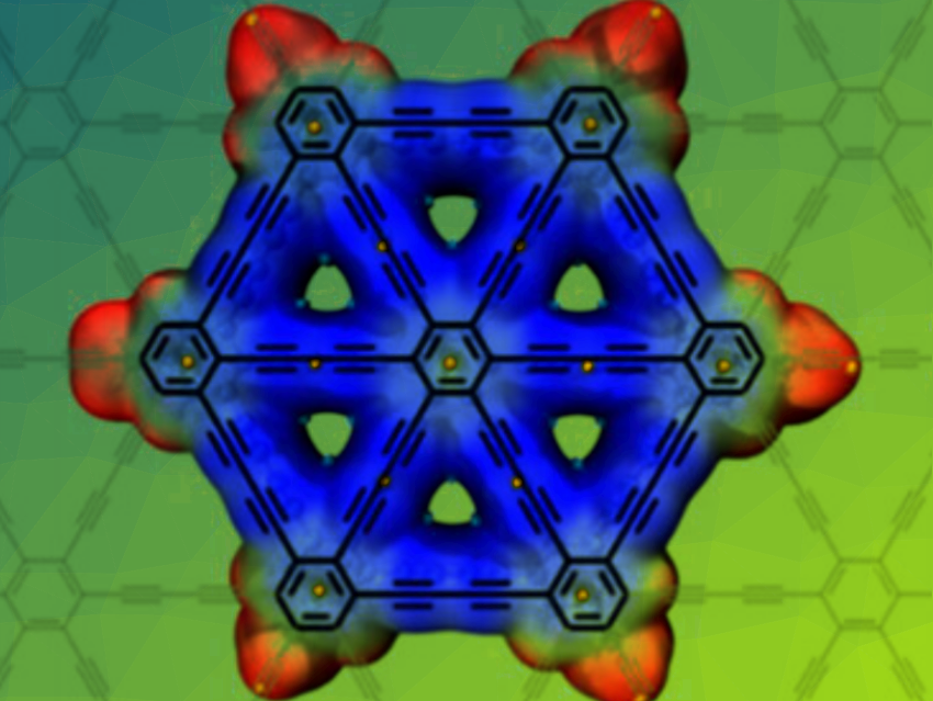 Wheel-Shaped Nanographdiyne