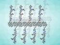 Two-Dimensional Supramolecular Assemblies for Delivering Peptide Ligands