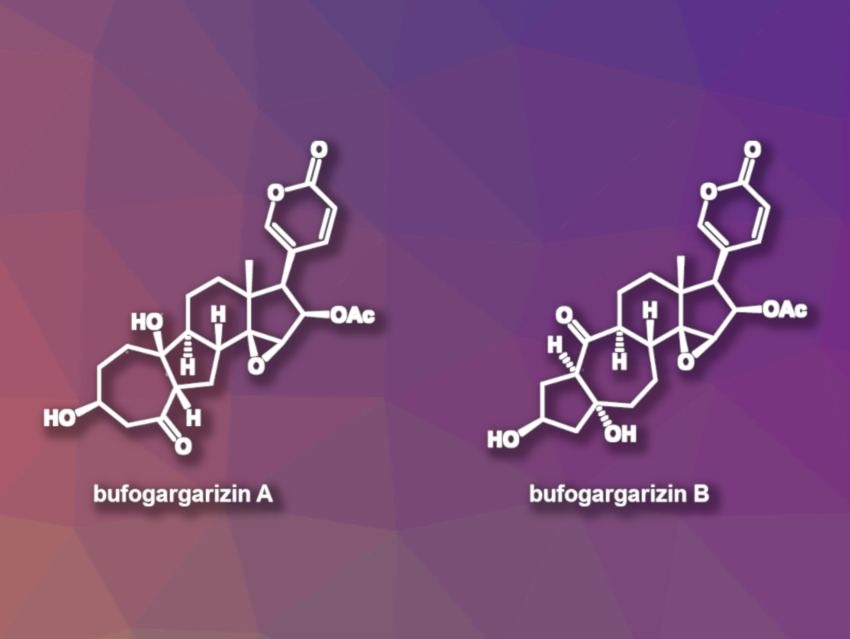 Total Syntheses of Bufogargarizins A and B