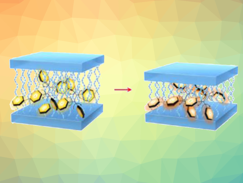 Confinement Changes Fluorescence Properties