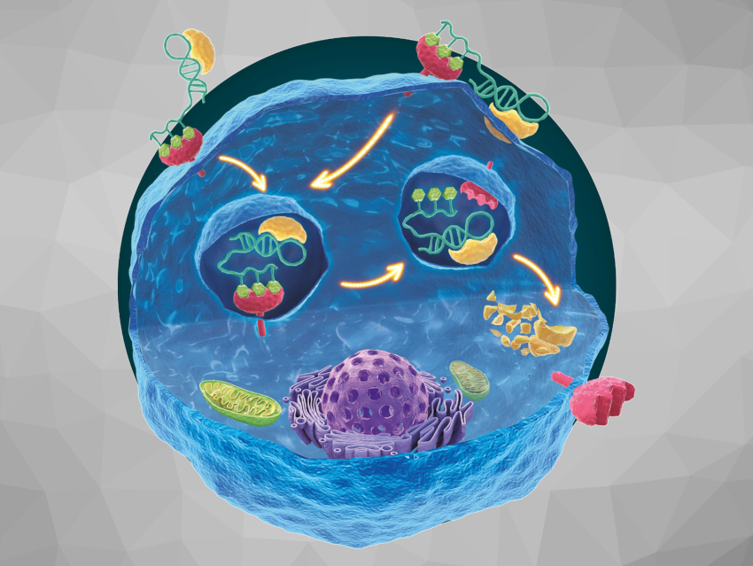 Angewandte Chemie 15/2023: Complements