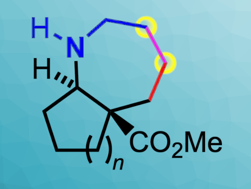 Preparation of Optically Active Azepane Scaffolds