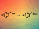 Direct Borylation of Benzylic Alcohols