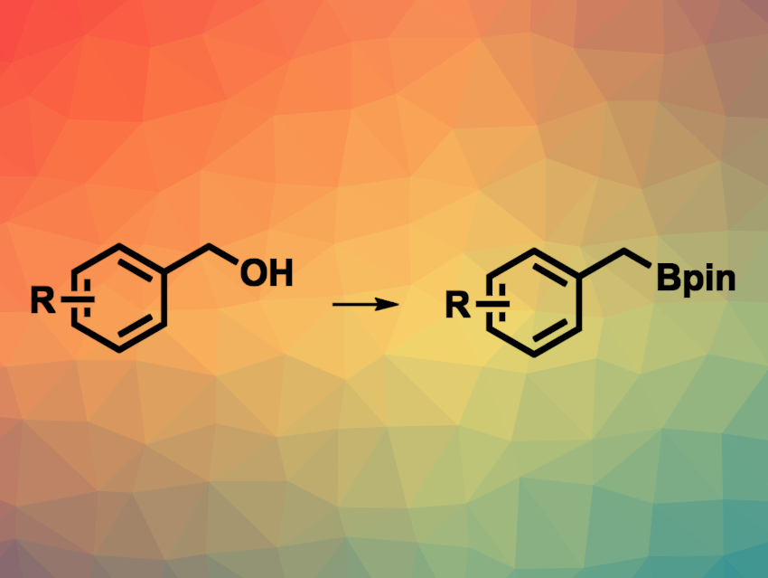 Direct Borylation of Benzylic Alcohols