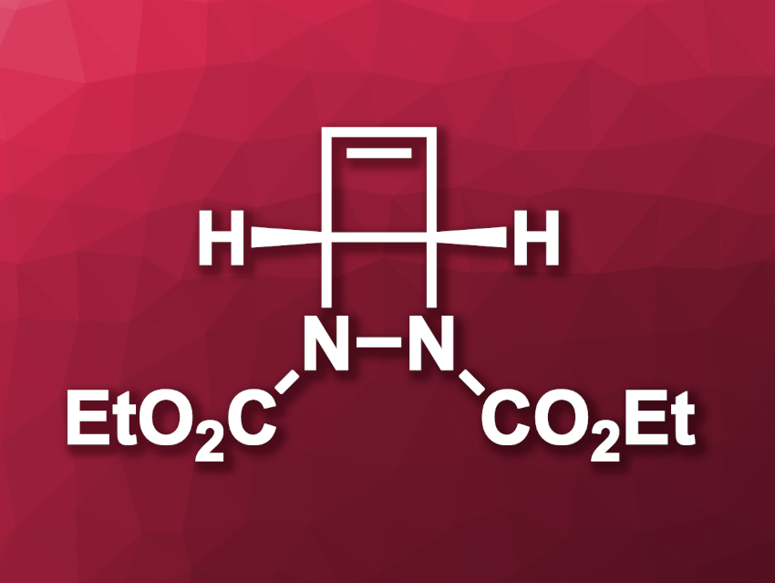 Easily Accessible Reagent Releases Cyclobutadiene