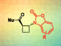 New Derivatives of Cyclobutane β-Amino Acids