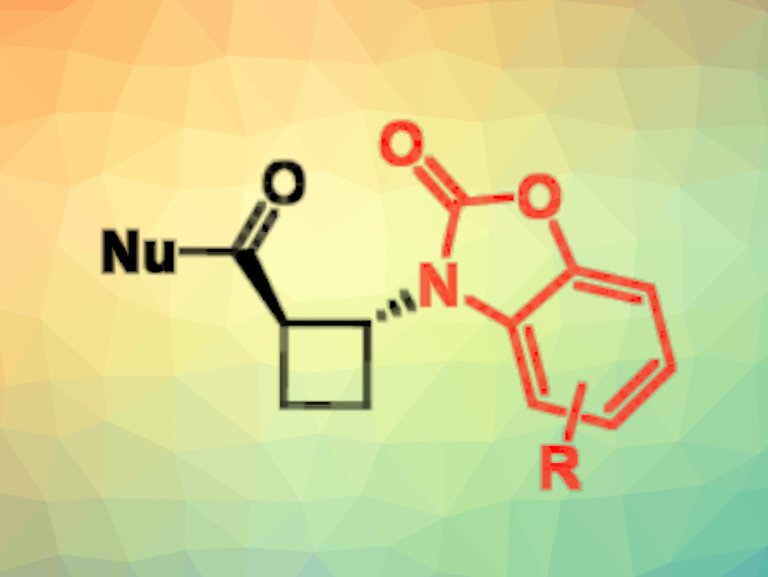 New Derivatives of Cyclobutane β-Amino Acids