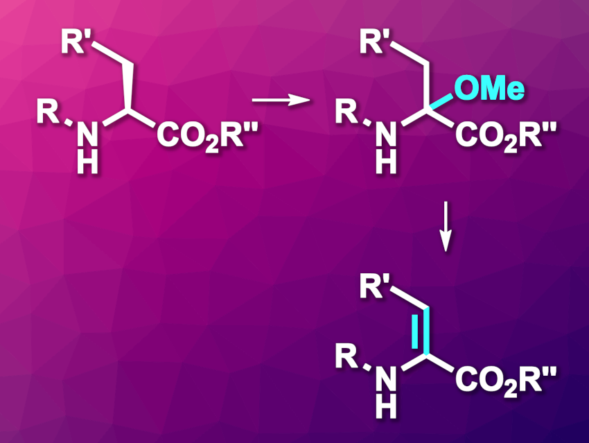 Electrochemical Path to Dehydroamino Acid Derivatives