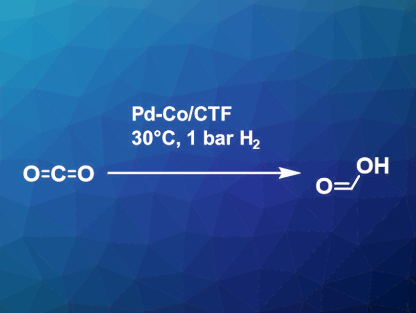 Turning CO2 into Formate Using a Dual Single-Atom Catalyst