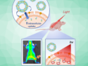 Fluidizing the Cell Membrane