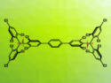 A Stable Organic Luminescent Diradical