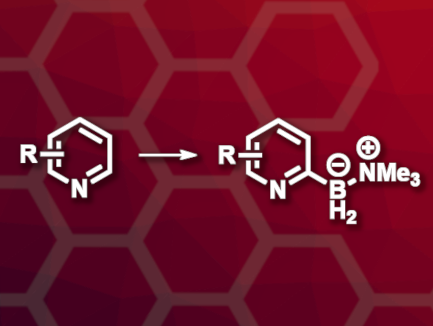 COFs as Photocatalysts for Metal-Free C–H Borylations