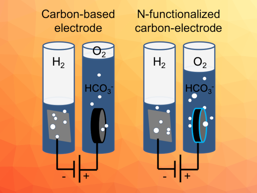 Nitrogen-Functionalized Carbon Electrodes for the Oxygen Evolution Reaction