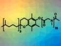 Sustainable Surfactant for Green Chemo and Biocatalysis