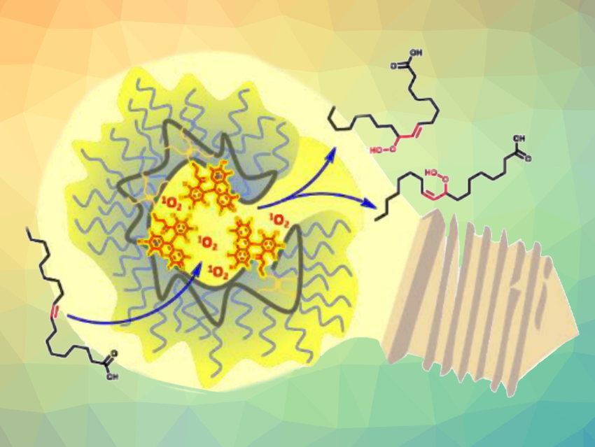 Single-Chain Nanoparticle Catalyst System for Alkene Photooxidation