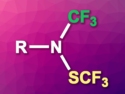 Access to RN(SCF3)(CF3)-Type Amines