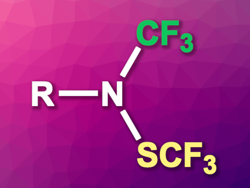 Access to RN(SCF3)(CF3)-Type Amines