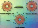 Novel Insulin Formulation That Can Be Switched On by Glucose