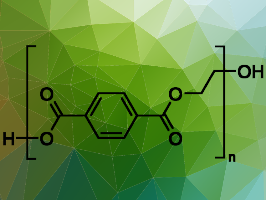 Enhancement of Hydrolase that Decomposes PET Plastic