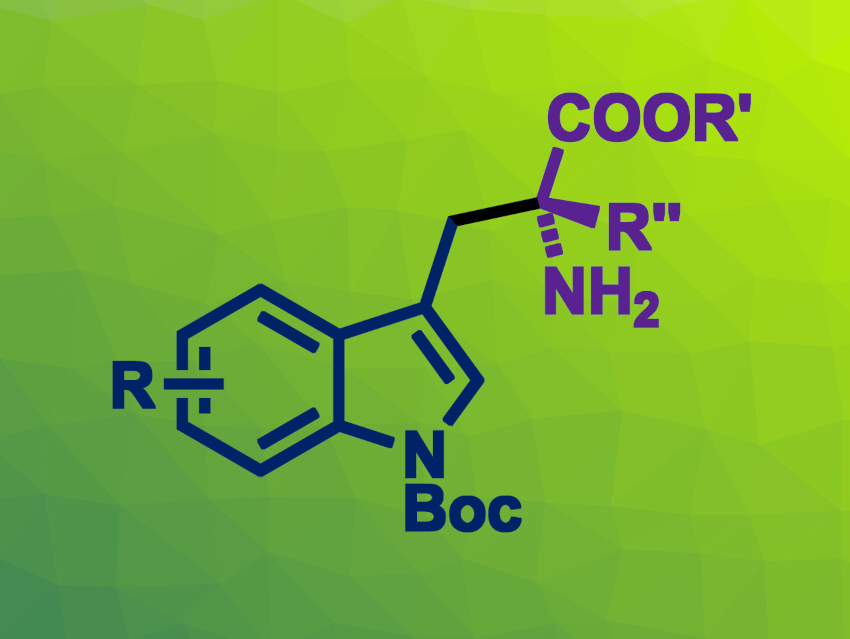 Cascade Heck-Alkylation Reaction Gives α-Alkyl Tryptophans