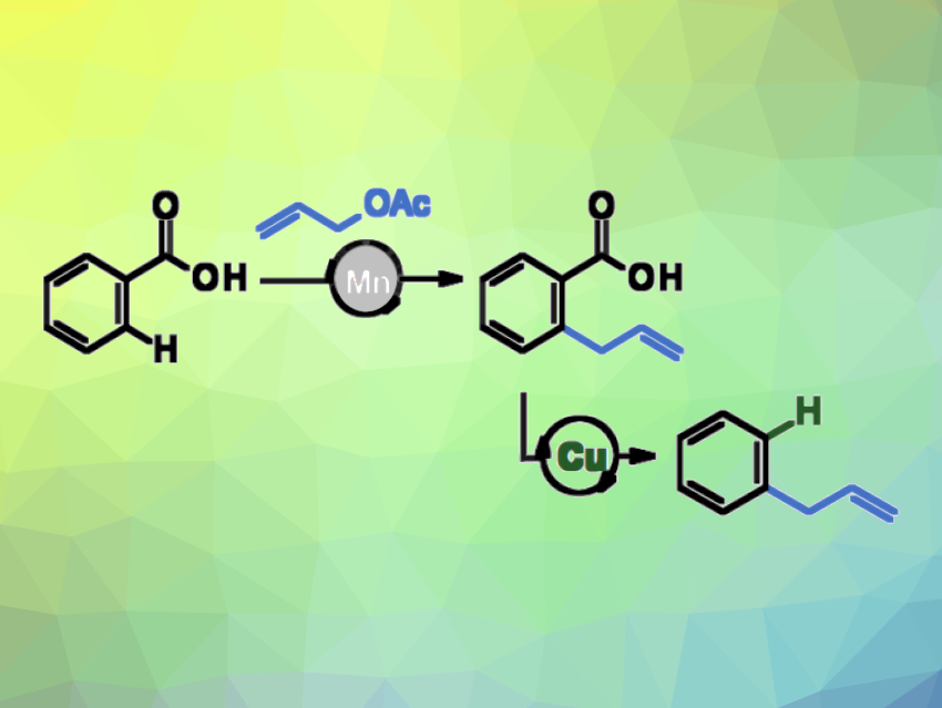 Mn-Catalyzed Allylation of Benzoates