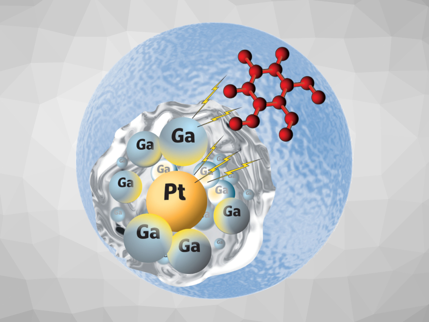 Angewandte Chemie 19/2023: Access Points