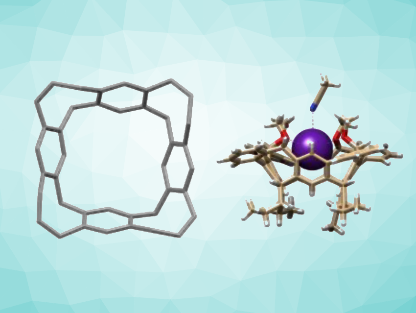 Functionalized Zigzag-Type Hydrocarbon Belts