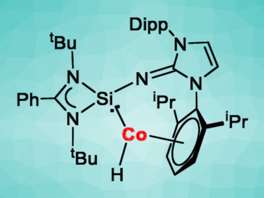 Cobalt(I) Complexes with an N-Heterocyclic Silylene for Olefin Hydrogenation