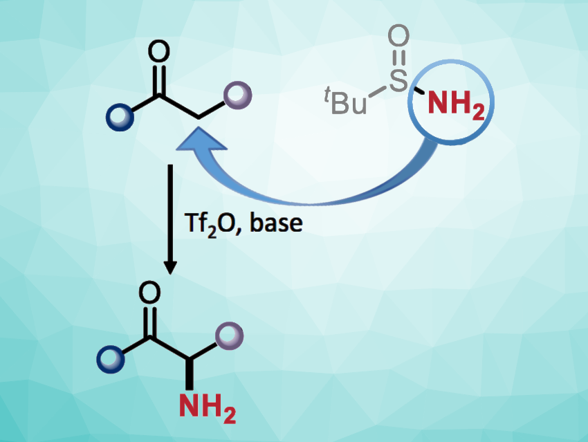 α-Amination of Amides and Ketones