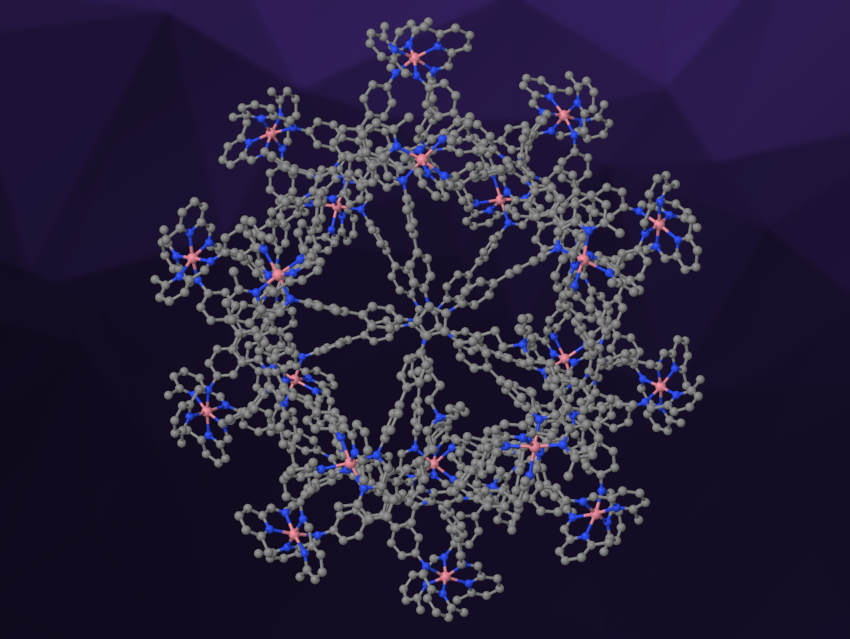 Large Nanocages Could Serve as “Capsules” for Biomolecules