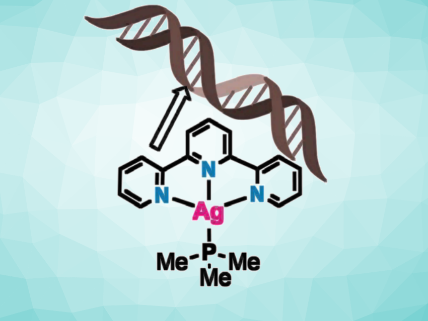 Silver-Based Terpyridine Complexes as Antitumor Agents