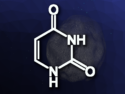 Uracil Found in Asteroid Ryugu