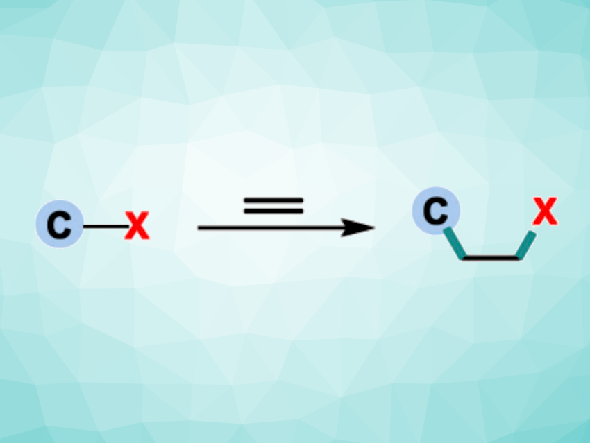 Alkene Insertion into Carbon–Halogen Bonds Enabled by Aggregation ...