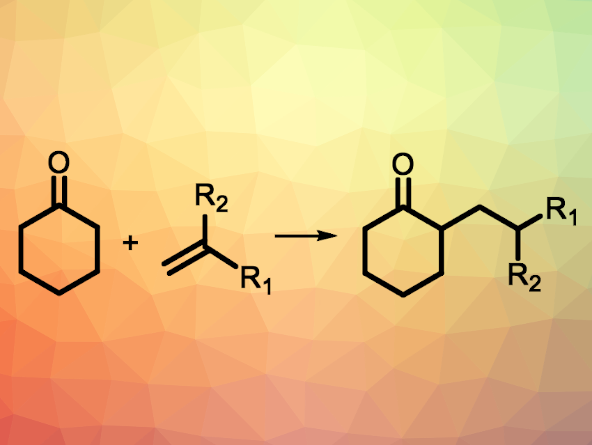 α-Alkylation of Saturated Cyclic Ketones