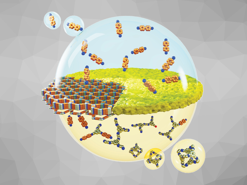 Angewandte Chemie 23/2023: Transformation Strategies