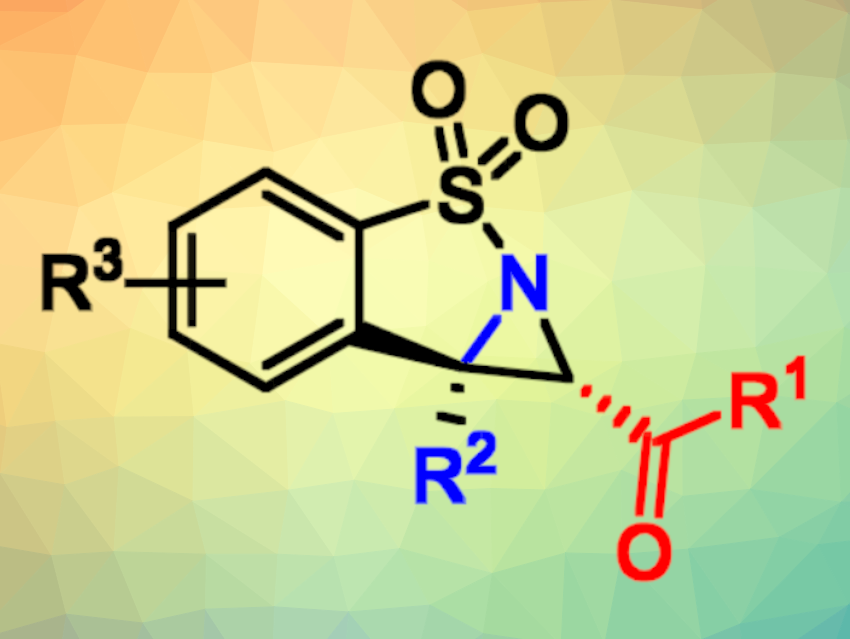 One-Pot Approach to Multisubstituted Fused Aziridines