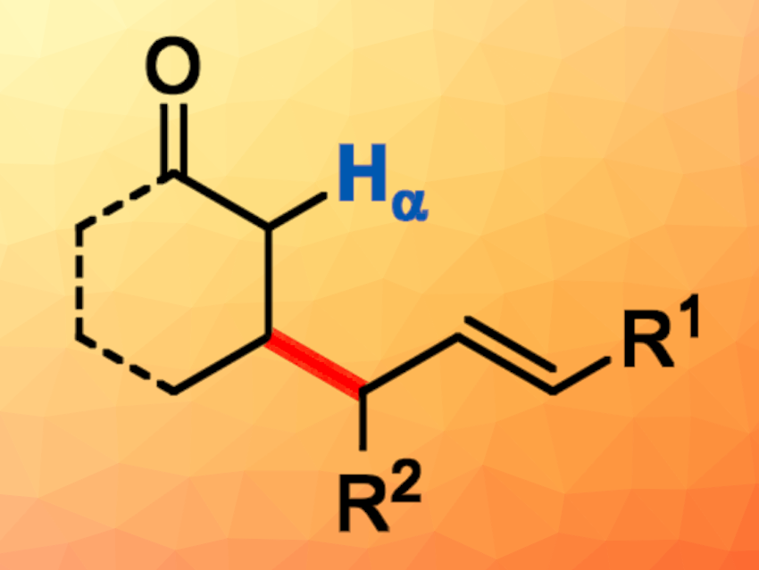 Cooperative Catalysis for the β-Allylation of Carbonyl Compounds